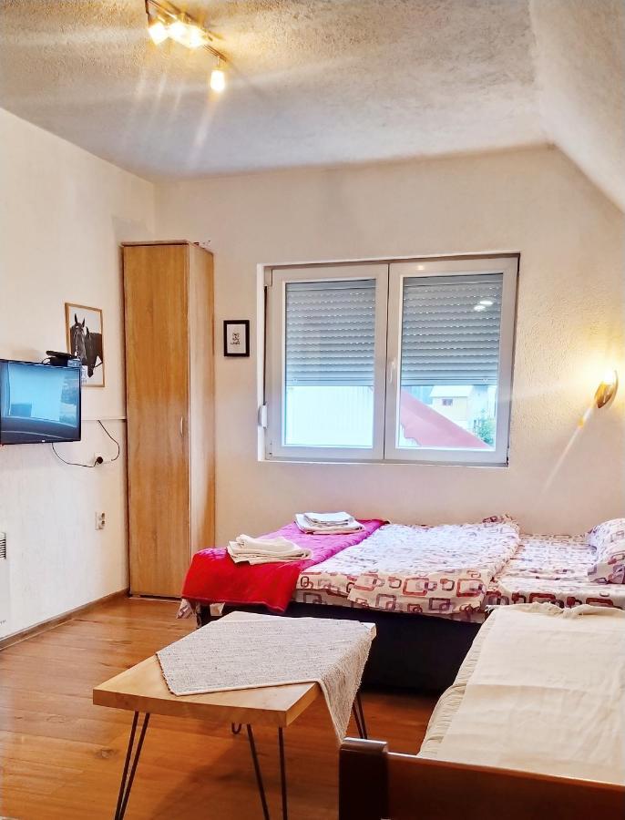 Apartmani Bozana Vojinovic Žabljak Zewnętrze zdjęcie